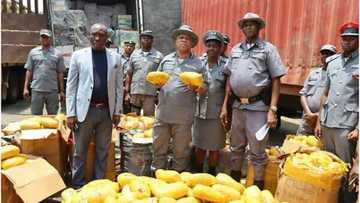 Nigeria and 22 Other Countries under Threat from drug smuggling syndicates