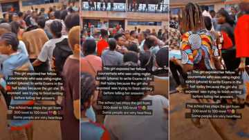 "Wickedness": Drama as students tackle girl who reported coursemate to authority for exam malpractice
