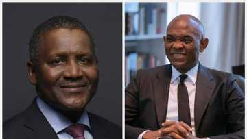 Dangote, Elumelu’s wealth soars N3.2bn in one day as UBA shares skyrocket to highest level in 2023