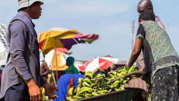 Saboda Ayaba, Wani Soja Ya Bindige Dan Kasuwa a Jihar Zamfara