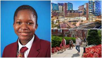 Girl makes Nigeria proud, emerges as one of the brightest students in the world