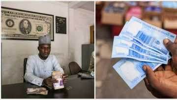 Bayan Yin Mummunar Faduwa a Kasuwa, Darajar Naira Ta Samu Tagomashi Akan Dalar Amurka