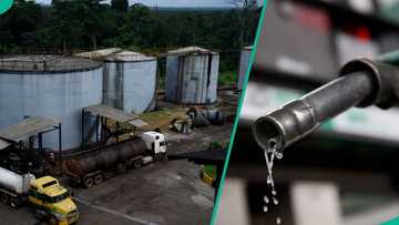 Private depots slash fuel prices, rival Dangote refinery for customers