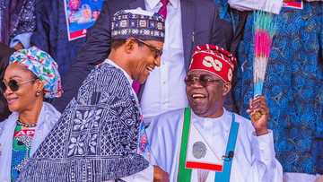 2023 presidency: How Buhari is working against Tinubu's victory, prominent journalist reveals