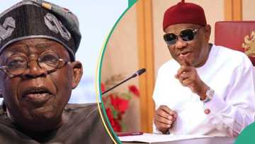 Tinubu asked to instantly fire Wike as FCT minister, reason, details emerge