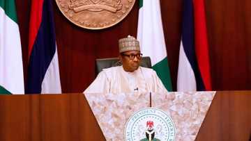 President Buhari reveals how killings in Katsina, Borno happened