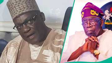 'Yan Arewa sun tunkari Tinubu, sun miƙa sunan wanda suke so ya maye gurbin Ganduje a APC