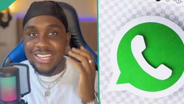 "Many people don't know this": Man shares great WhatsApp feature, teaches how to set up read receipt