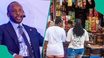 CBN explains how fuel subsidy, forex distortion hurt Nigeria’s economy before reforms