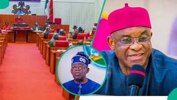 David Mark mentions what the Nigerian Senate has turned into since emergence of Akpabio, Tinubu