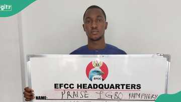 Court sentences internet fraudster to one year for cryptocurrency scam