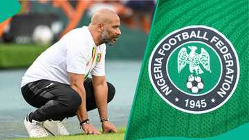 Reason why the NFF handed new Super Eagles coach Eric Chelle a short-term contract surfaces: report