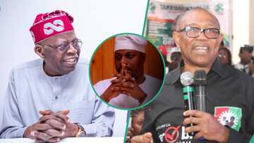 2023 elections: Appeal Court gives verdict on electronic transmission of results