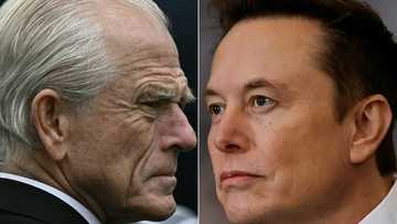 Trump advisor Navarro looks to cool spat with Musk