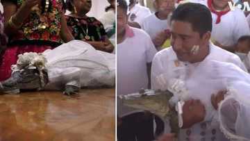 Mexican mayor marries alligator and seals the deal with a kiss, hopes to bring abundance to village