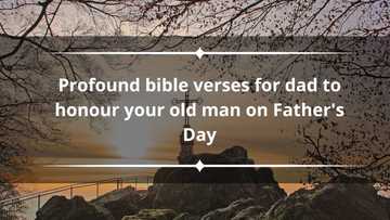 25+ profound bible verses for dad to honour your old man on father's day