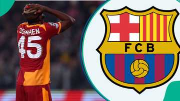 Victor Osimhen transfer twist as Barcelona submit €100m bid for new striker