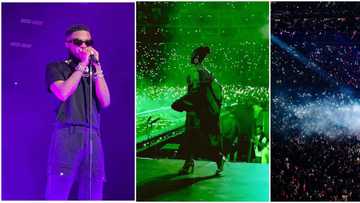 Wizkid gave Naira Marley, Tems, Bella Shmurda their O2 debut performance: Fan heaps accolades on singer