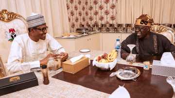 Tinubu ya fadawa Buhari: Ka fito da kudi, ka daina matse aljihu yayin da Matasa su ke cikin fatara