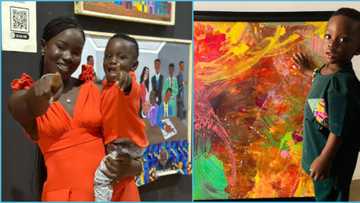 Guinness World Records: 6 paintings that made one-year-old boy a world record holder surface in video