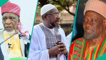 'Malamai ne matsalarmu wallahi': Sheikh ya soki Jingir, ya ba Sambo Rigachukun shawara