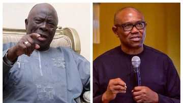 2023 election: Tinubu’s southwest dominance under serious threat as Peter Obi gets premium endorsement