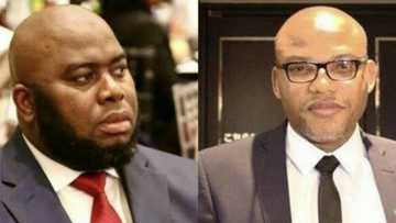 Sit-at-home: Asari Dokubo berates Nnamdi Kanu, IPOB over order