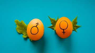 Male and female signs: Top facts about their origin, uses, and meaning