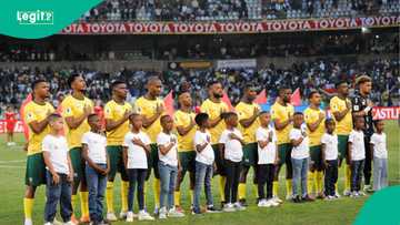 AFCON 2025: Mysterious cat predicts outcome of South Africa vs Angola, 2 other matches