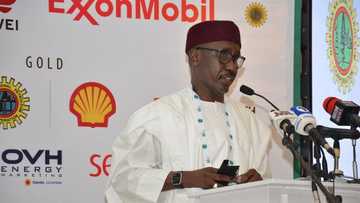 Mele Kyari reveals why NNPC is borrowing to acquire 20% equity in Dangote refinery