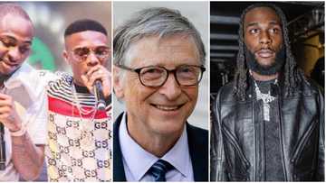 Old cats drama returns as Bill Gates speaks about Davido & WIzkid, says he had to look up Burna Boy & Rema