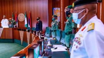 Mun gaji da gafarar sa ba kaho, ka sallami shugabannin tsaro – Dattawan arewa masu gabas ga Buhari