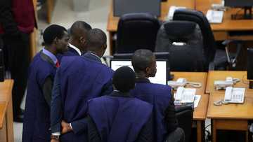 Nigerian banks with the highest number of staff as GT, Zenith others reportedly consider letting some go home