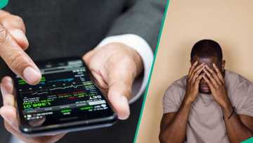 XM: Another Ponzi investment scheme crashes as organisers disappear, shut down office
