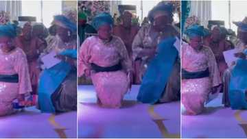 They're elderly Cardi B: Nigerians stunned as 2 middle-aged women whine their waists while bending at owanbe