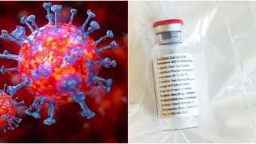 Madallah: An samu maganin cutar korona a Amurka, ya yi aiki a kan mutanen da aka yi wa gwaji