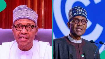 Buhari's death: Alleged clip of his last day in Daura emerges, fans shares observations, sparks talk