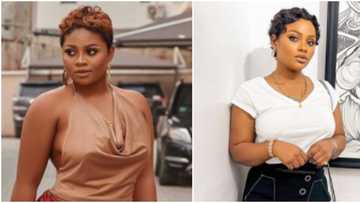Our set was very peaceful, nothing to talk about: BBNaija's Tega says there's no need for Shine Ya Eye reunion