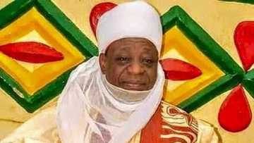 Ba kashe Iyan Zazzau aka yi ba, mutuwar Allah yayi, dansa