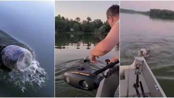 Man and his family risk their lives to save baby bear from drowning by pulling plastic container off its head