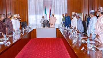 2023 presidency: List of northern governors that met with Buhari ahead of APC primary