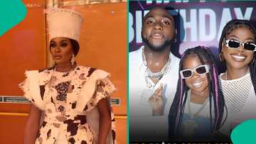 2024 in review: Davido vs Sophia Momodu, May Edochie, 12 celebs whose lawsuits divided Nigerians