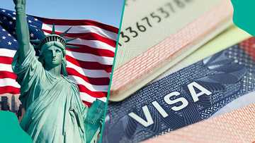 Lawyer speaks on Nigeria’s exclusion from 2025 US visa waiver programme, mentions available options