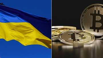 Donations Pour in for Ukraine From all over the world, N2 billion worth of crypto donated
