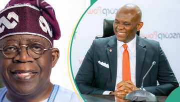 “Uncommon spirit of excellence”: Tinubu celebrates Tony Elumelu as he turns 61