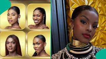 Miss Universe Nigeria: Photos of 24 contestants to compete with Chidimma Adetshina trigger backlash