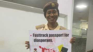 Nigerians in Diaspora: 3 Easy Steps to Fast-track your Passport Renewal Process this December