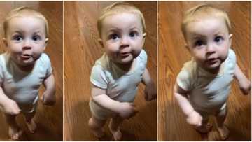 Mum asks little baby who let the dogs out, here's what he says that sends social media into frenzy; heartwarming video goes viral