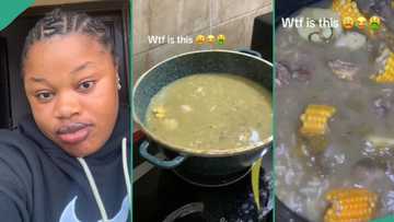 Nigerian lady cries out over foods her brother's Jamaican wife cooked for them, displays the meals