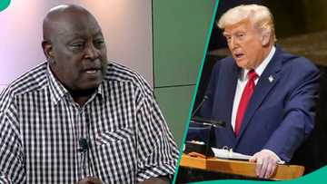 Kisan kiristoci: Tsohon sakataren gwamnatin Najeriya ya goyi bayan shugaban Amurka